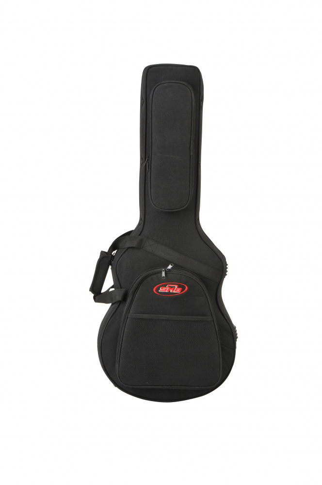 Skb cheap gig bag